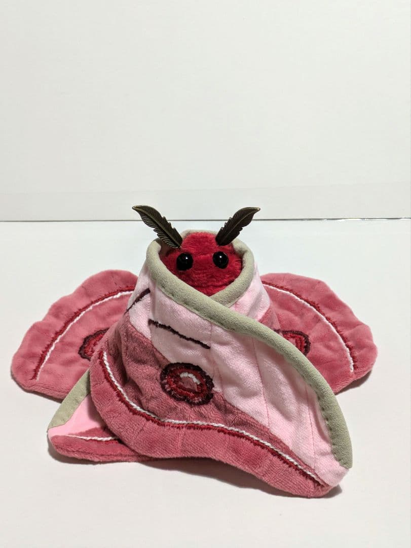 aページ