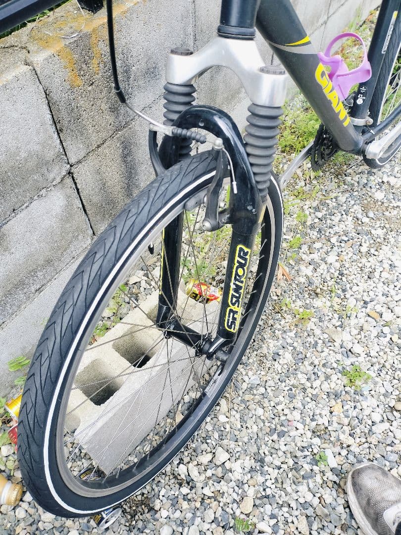 Treed Giant Rock5000 直接引取歓迎近県配送可