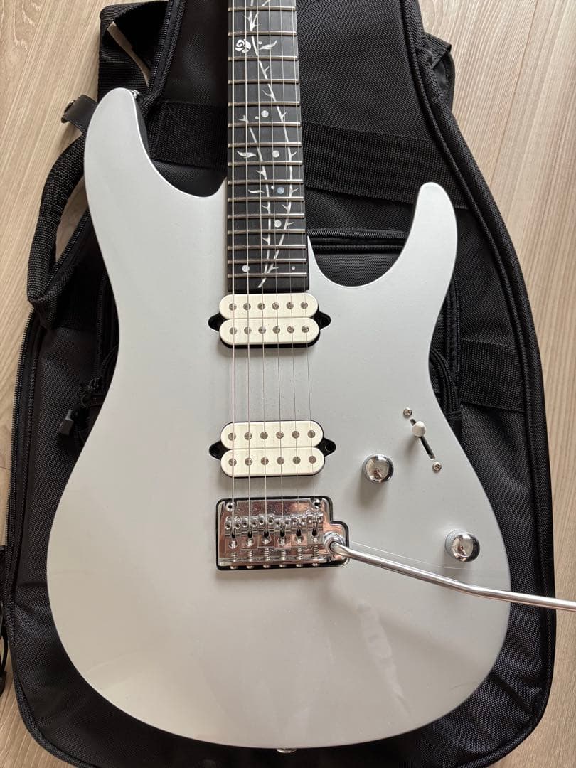 【最終値下】【ほぼ未使用】Ibanez TOD10 ソフトケース付き