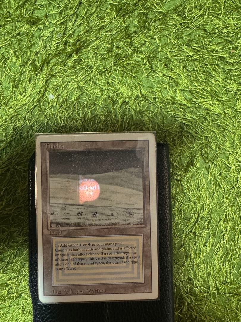 Tundra マジック：ザ・ギャザリング 土地カード