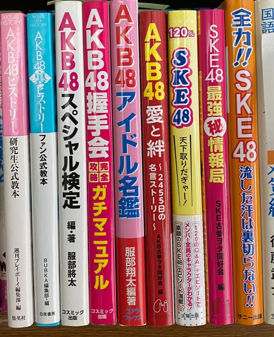AKB48グループ関連　書籍　多数　セット販売