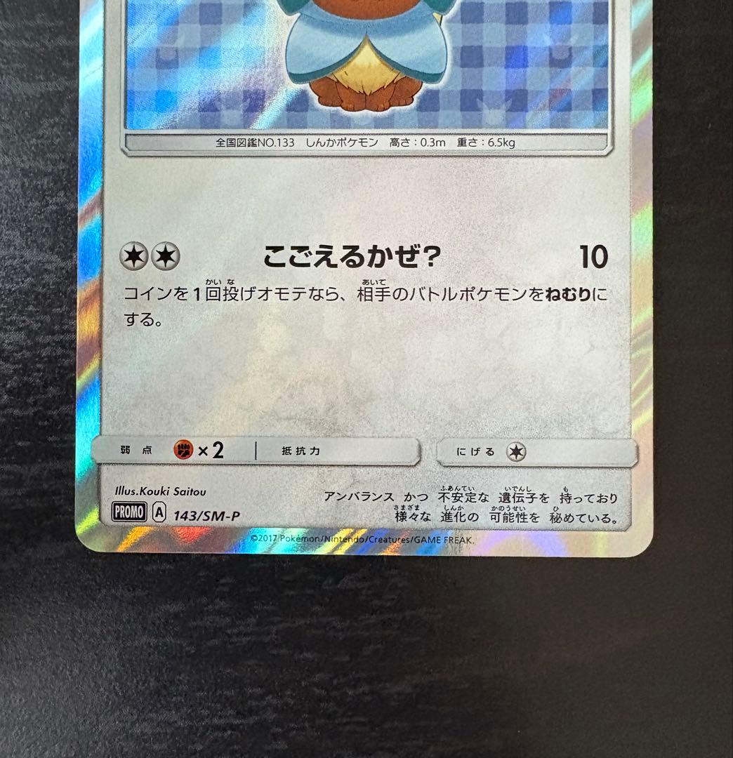 ポンチョを着たイーブイ 143/SM-P