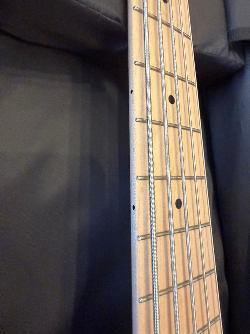 【限定値下】Sadowsky ML22 WL5 ASH BLT STN