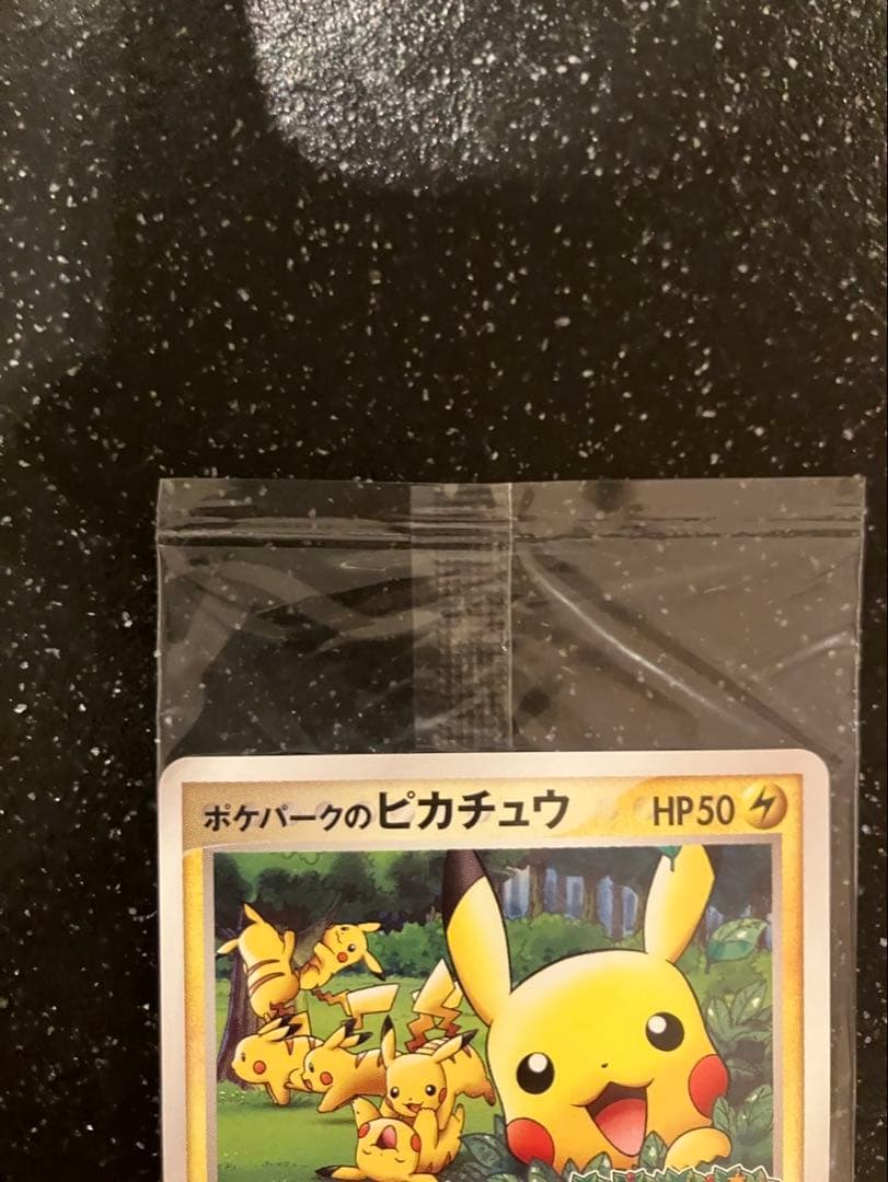 未開封　ポケパークのピカチュウ