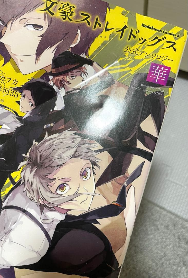 文豪ストレイドッグス 文スト 漫画 1〜27巻＋関連本9冊 全巻 セット