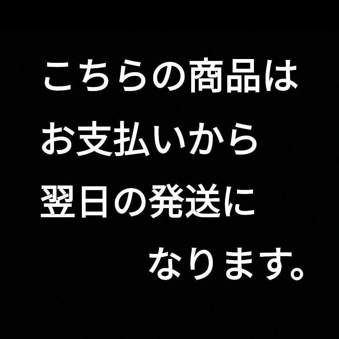 WA SCW 5mm軸共通 ファストドロウ仕様 アンビセフティ