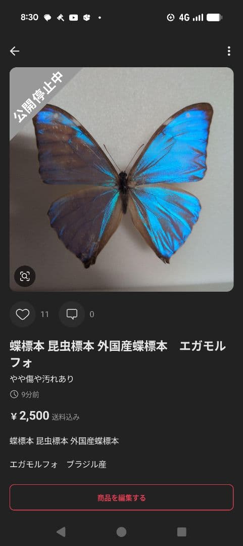 専用！　3点