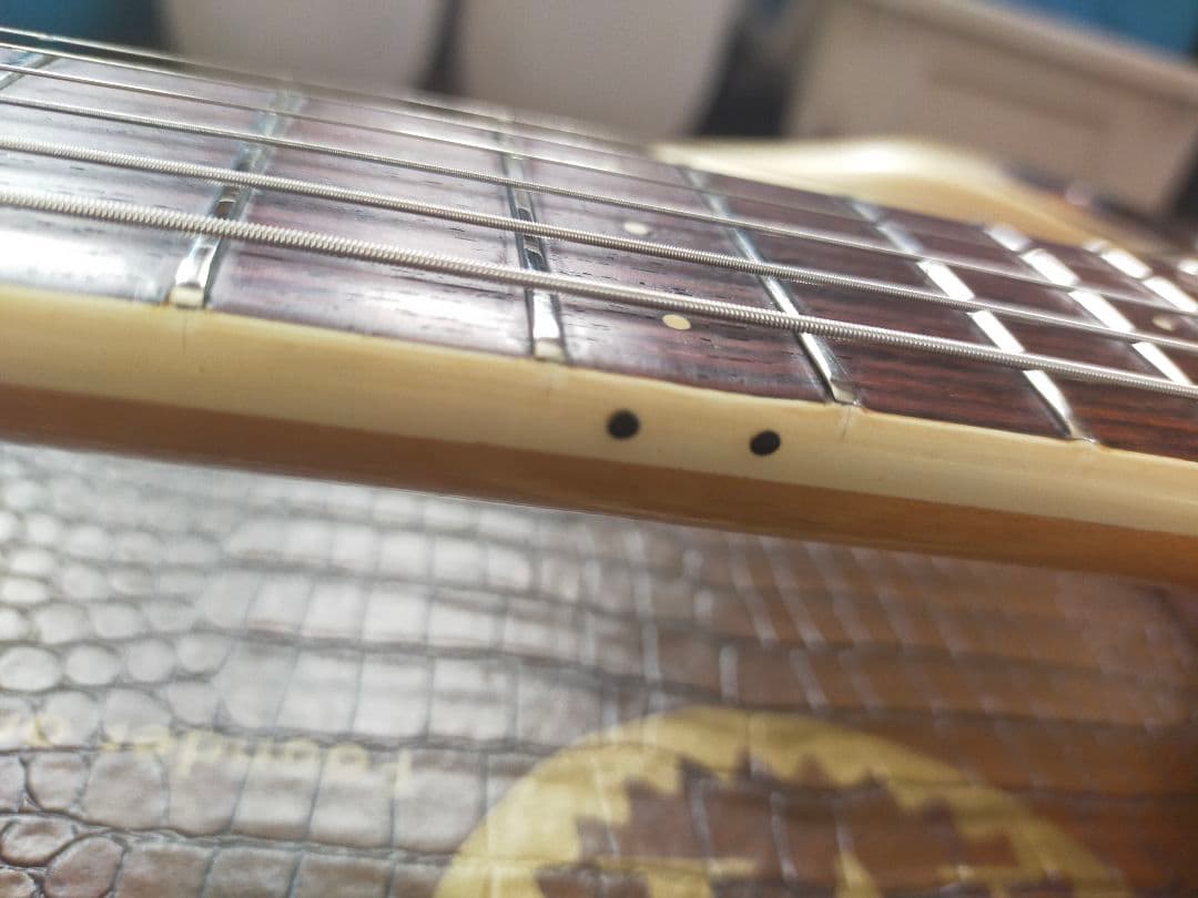 モズライトUSA-The Ventures　 　(セミモズレーサイン)入り