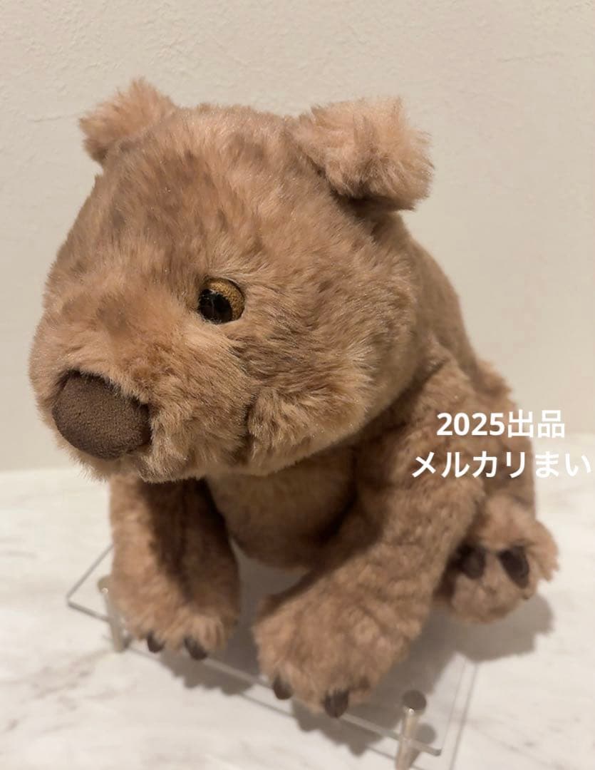  Wonda Wombat ウォンバット　ぬいぐるみ