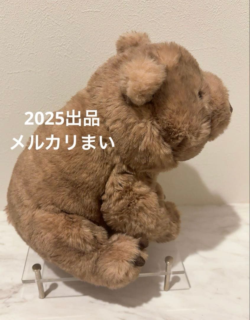  Wonda Wombat ウォンバット　ぬいぐるみ