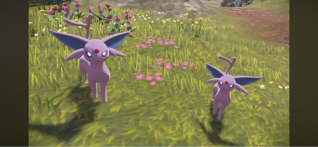 まるで等身大 エーフィ 80cm 特大 ぬいぐるみ ポケモン ポケットモンスター