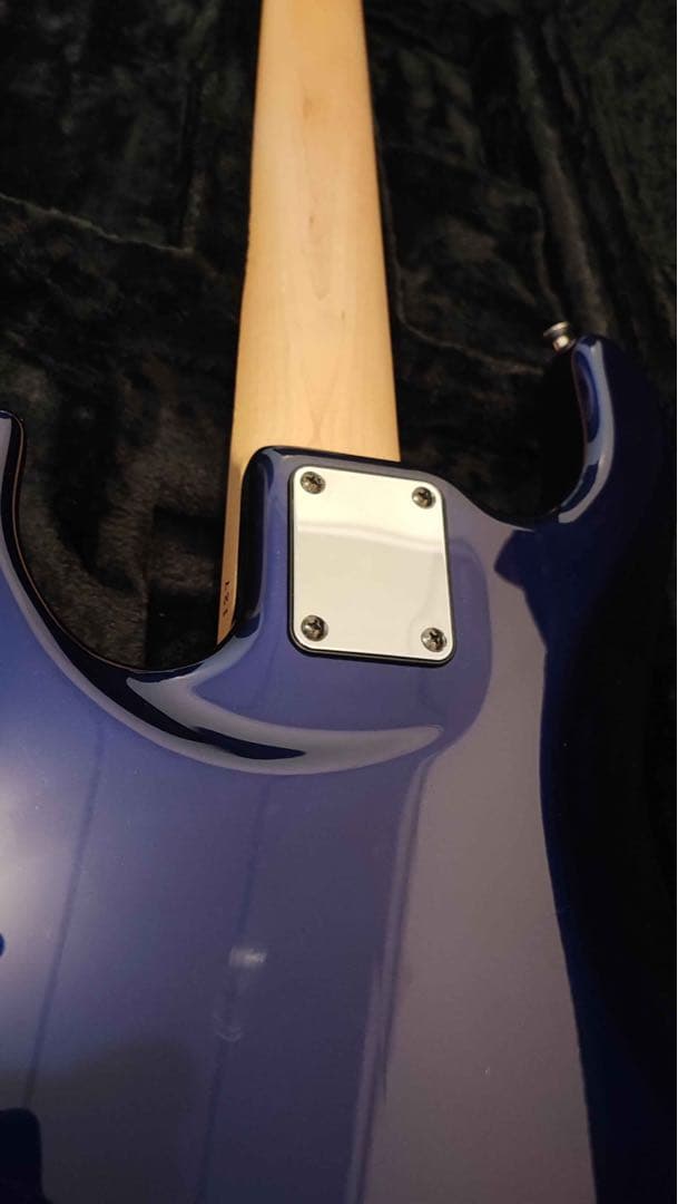 ベース Wood Custom Guitars Vibe Std-5 19pitch