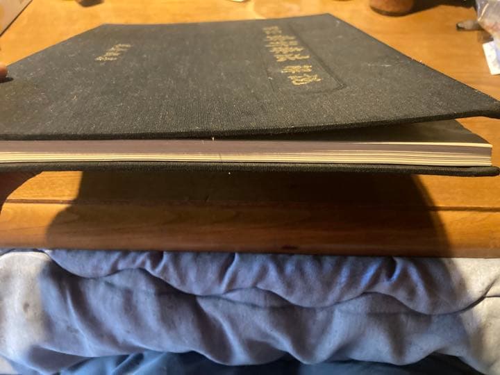 実証蜂針療法解説