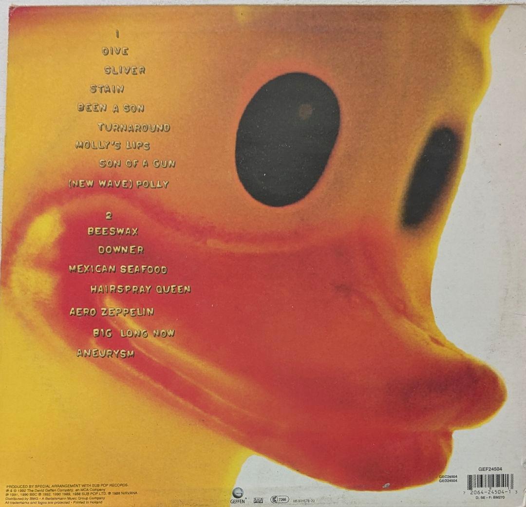 洋楽 NIRVANA/ INCESTICIDE