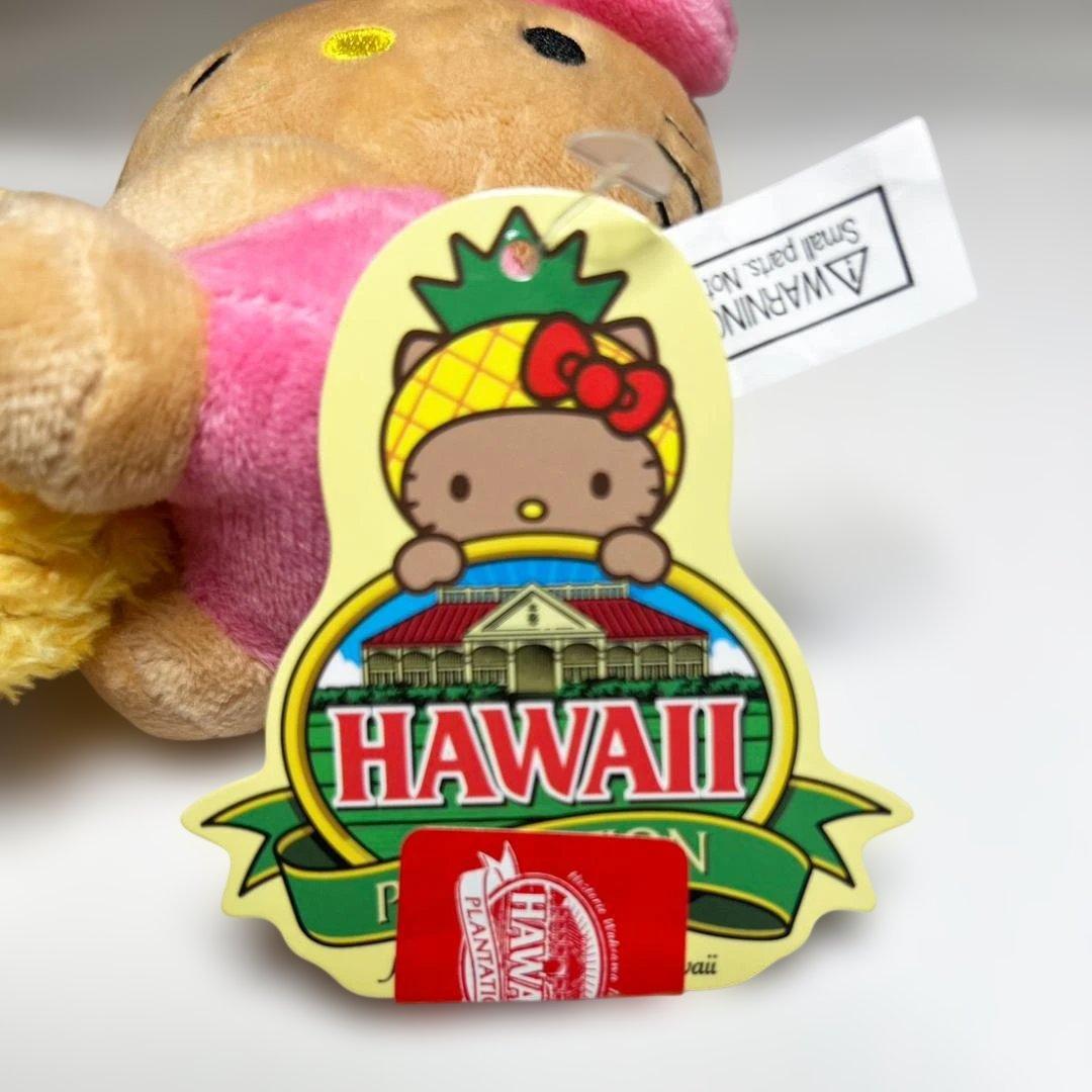 【新品・未使用】レア！日焼けキティセット【ハワイ超限定品】
