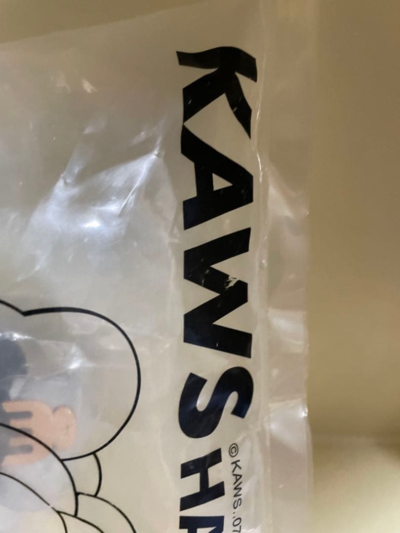 激レア未開封　kaws コラボ　ハシーム　 tokyoTRIBEサンタスティック
