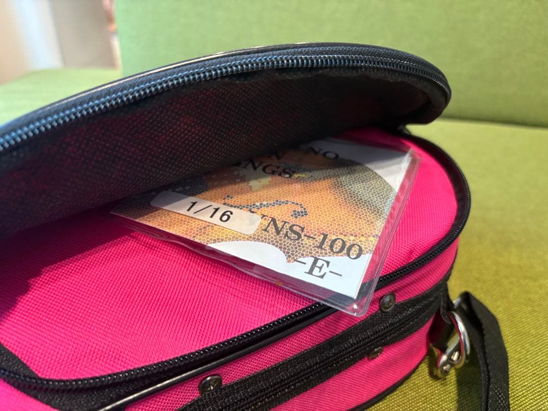 1/16サイズ　VS-F1 カルロジョルダーノ　分数バイオリン セット