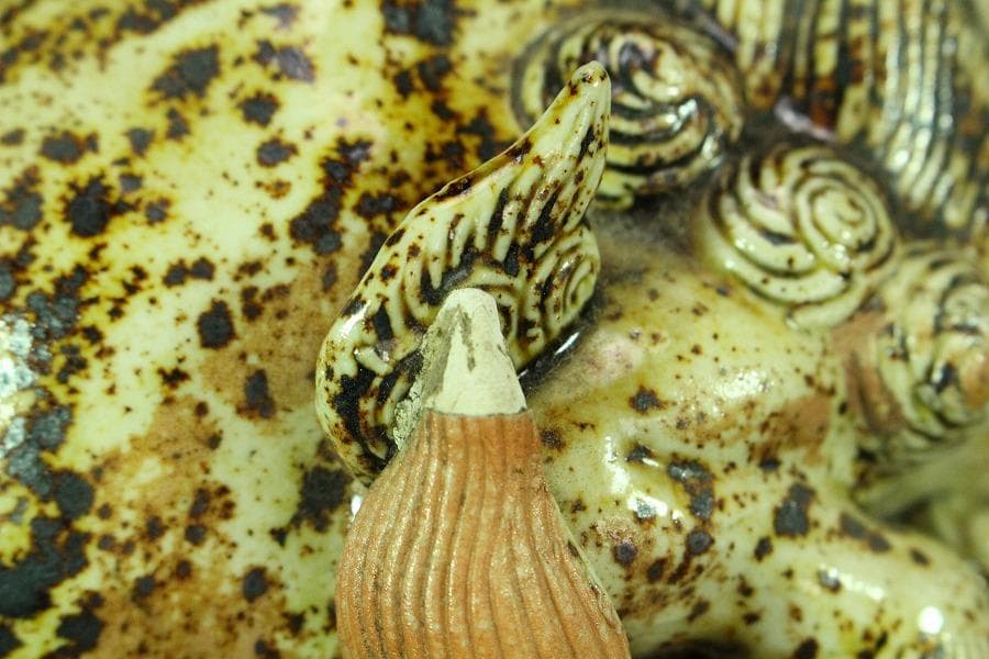 白備前 双獅子 置物 骨董 古美術 在銘(K-YC509)