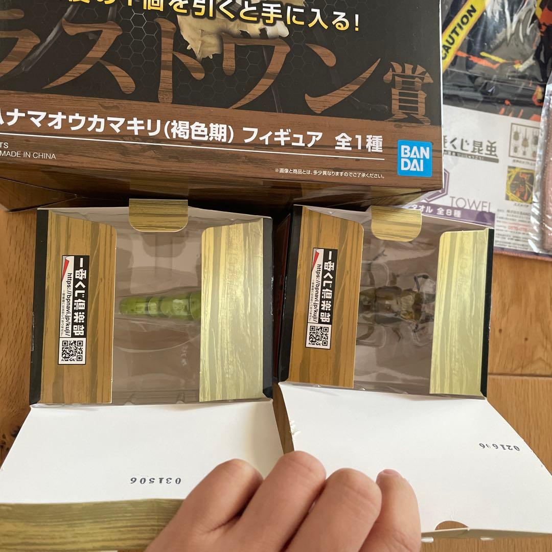 一番くじ昆虫　B賞　D賞　ニセハナマオウカマキリ ラストワン賞 褐色期