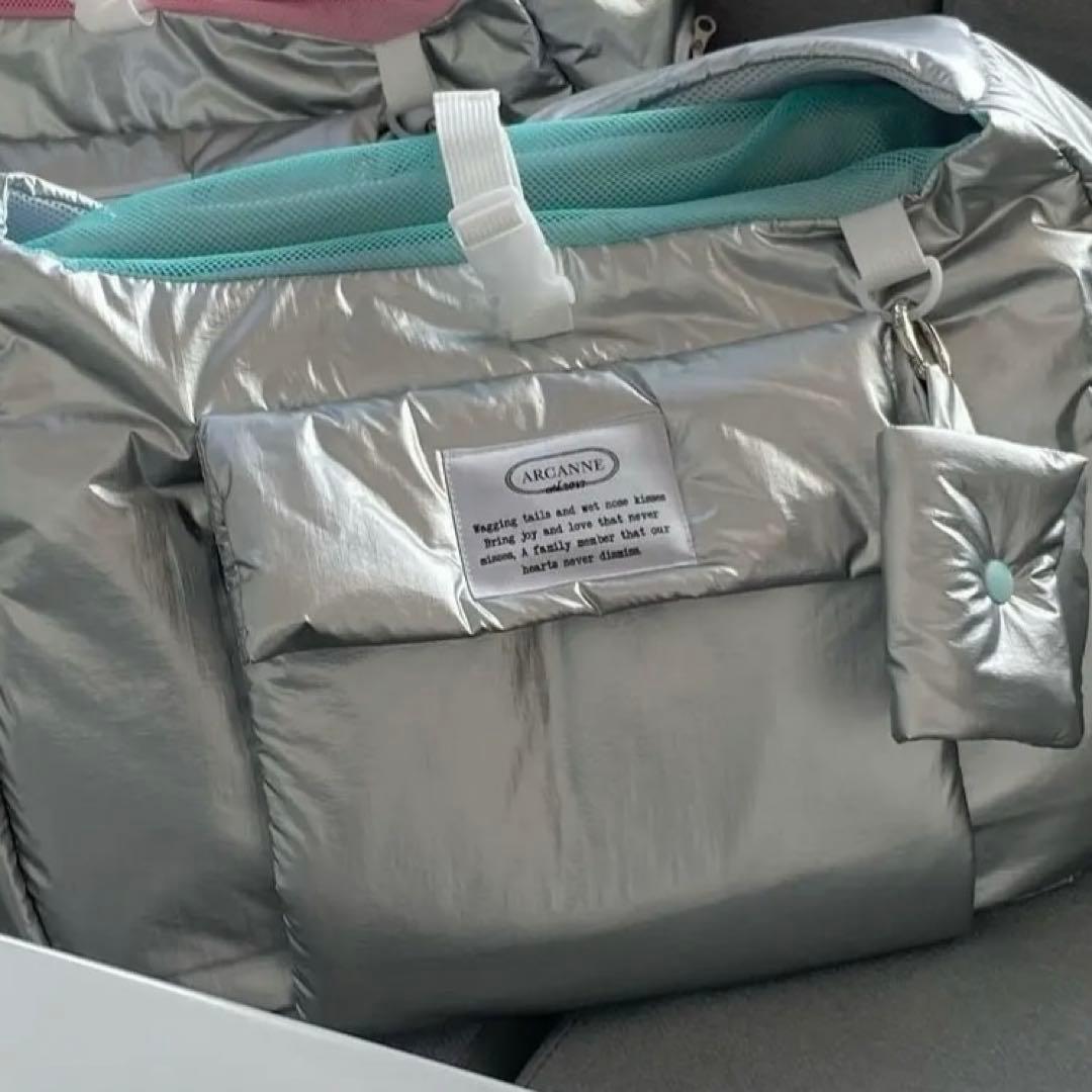 【ARCANNE】Cannes bag （ミント） L