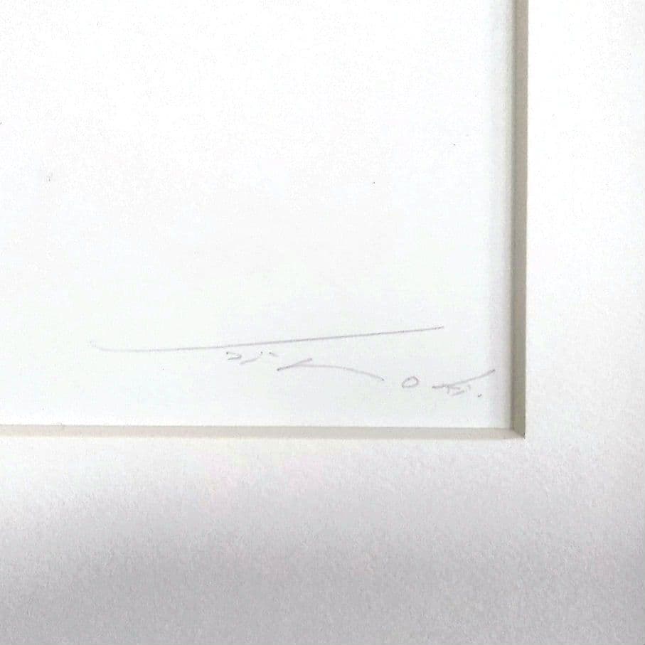 安冨洋貴（安富洋貴）人気の鉛筆画家　　　鉛筆画　希少　1点もの