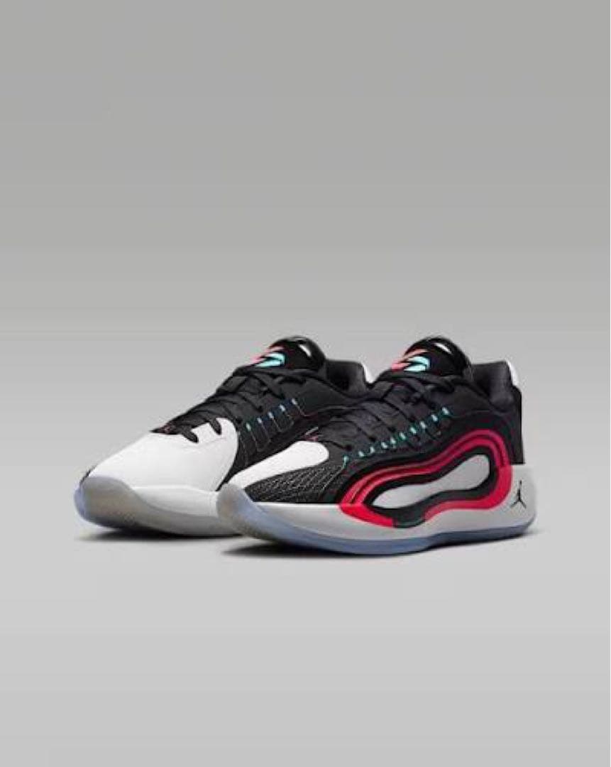 定価:17,160円　新品未使用　ナイキ ジョーダン ルカ4 PF Nike