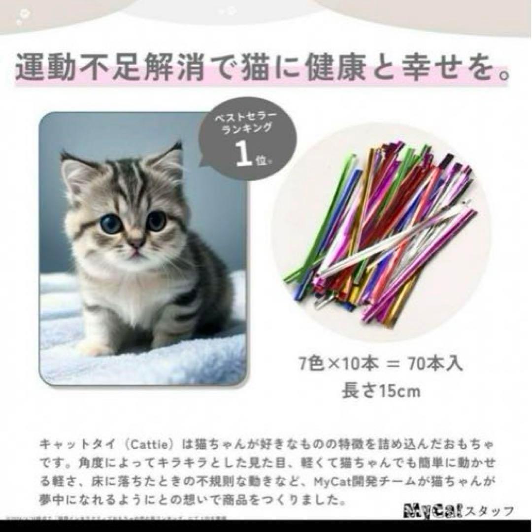マイキャット 70本 キャットタイ 猫のおもちゃ 猫 キャット 1人遊び