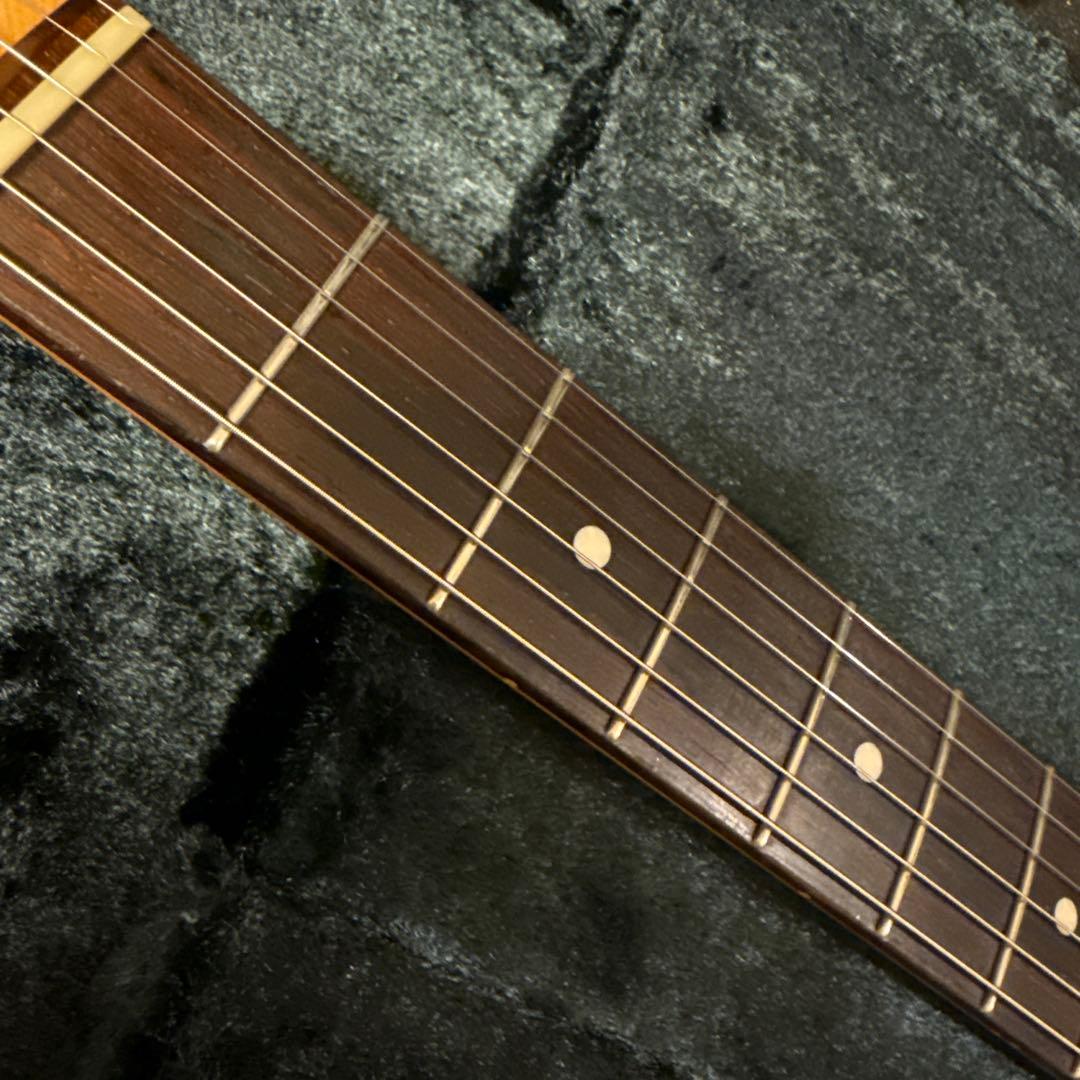 2019年製 ESP Navigator N-TE-CTM / Black