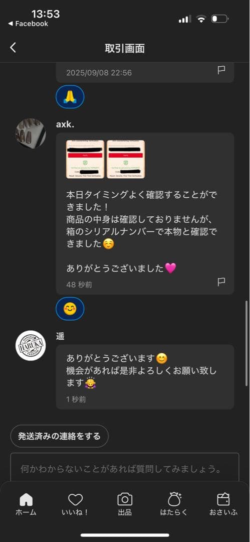 【正規品・未開封】ラブブ Labubu Big into Energy 2箱