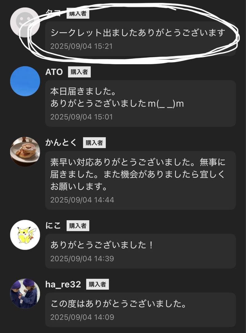 【正規品・未開封】ラブブ Labubu Big into Energy 2箱
