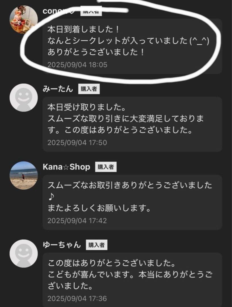 【正規品・未開封】ラブブ Labubu Big into Energy 2箱