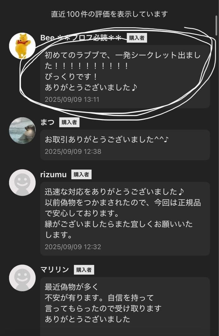 【正規品・未開封】ラブブ Labubu Big into Energy 2箱