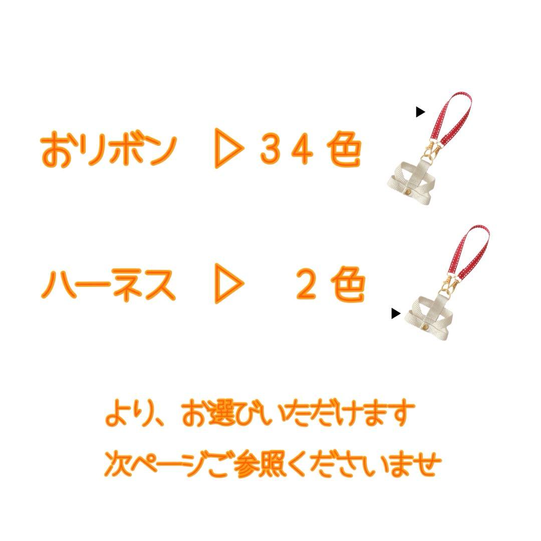timelesz紛失防止ハーネス▷オーダーページ