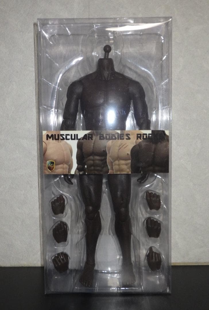 その他 ACI TOYS 1/6 BODY SERIES ANDREW