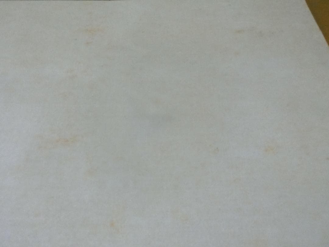 雅泉 鯉① 日本画 掛け軸