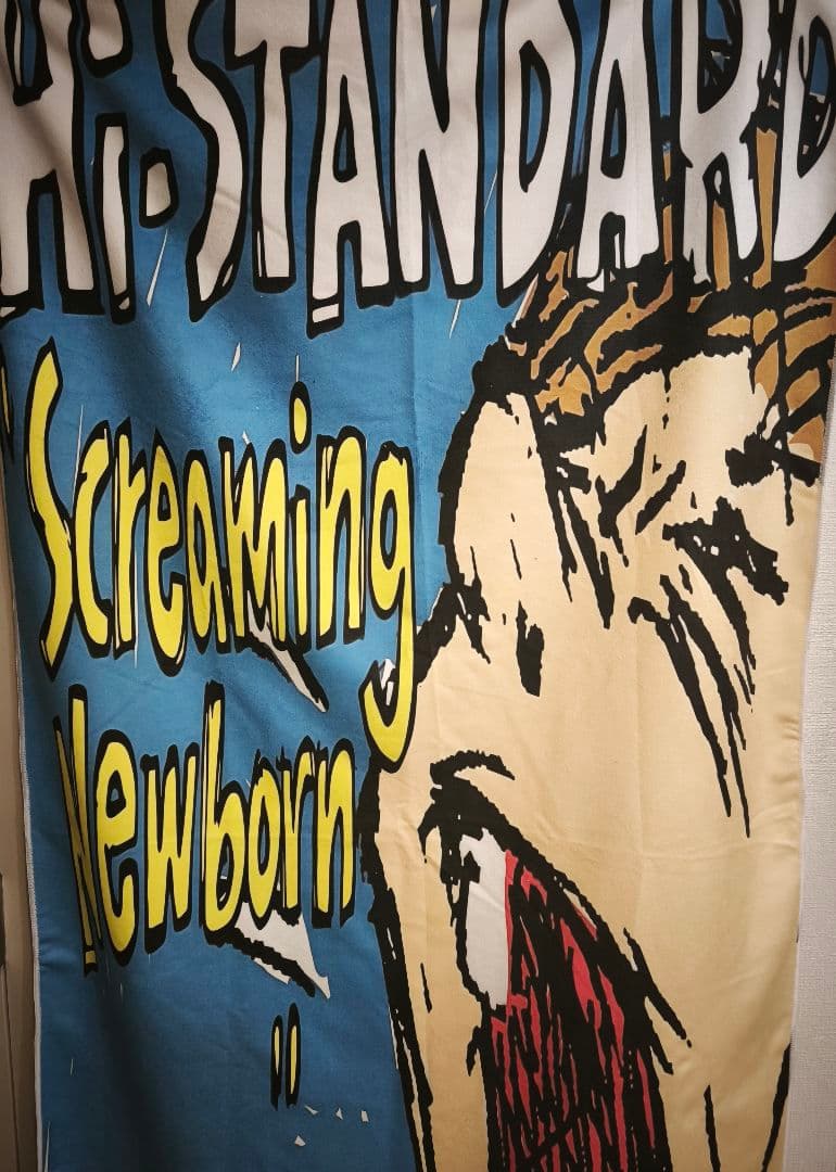 HI-STANDARD ハイスタ 超大判ビーチタオル