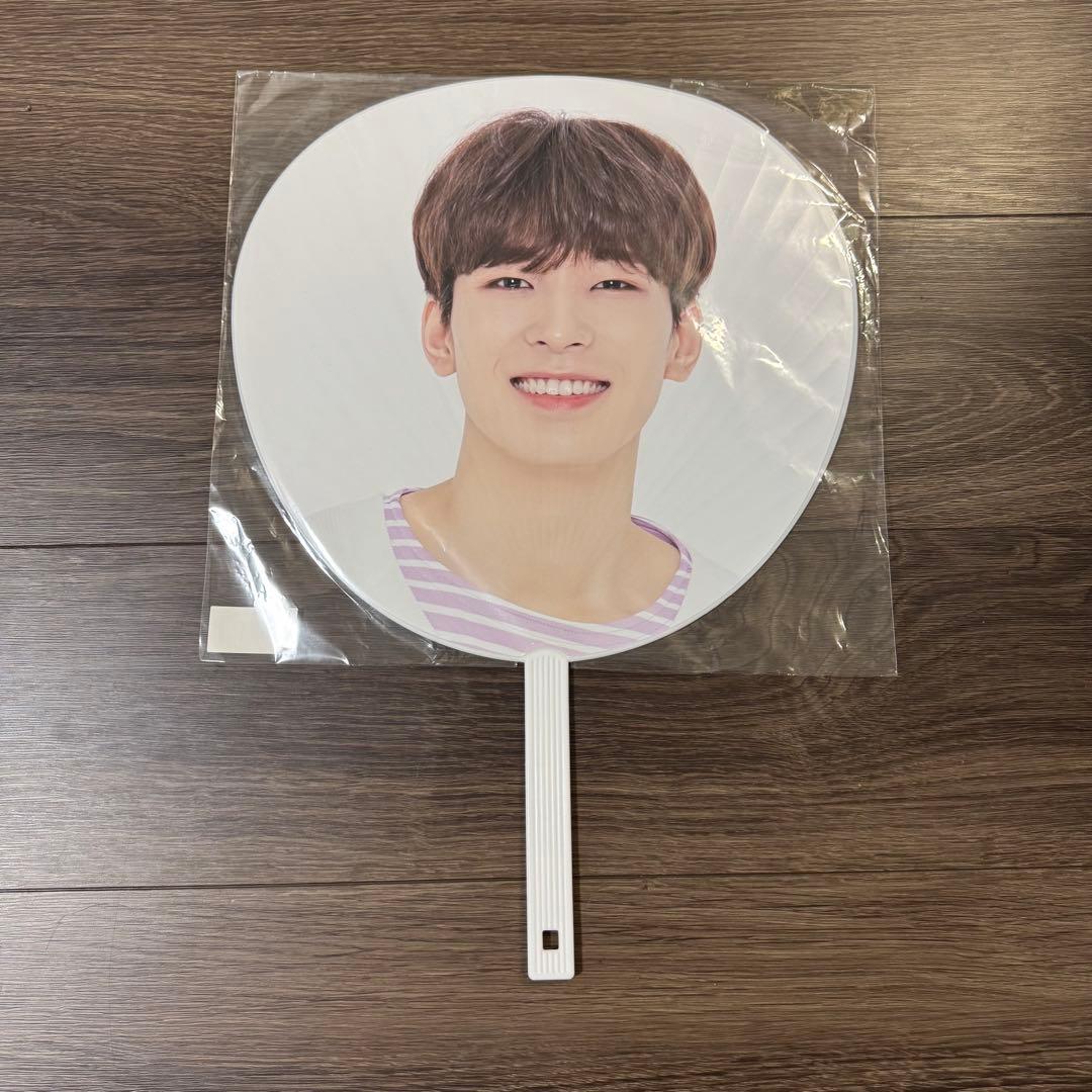 SEVENTEEN ウォヌ うちわ まとめ売り