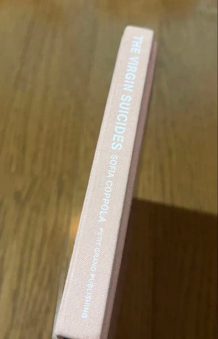 絶版　ヴァージンスーサイズ　フォトブック　美品