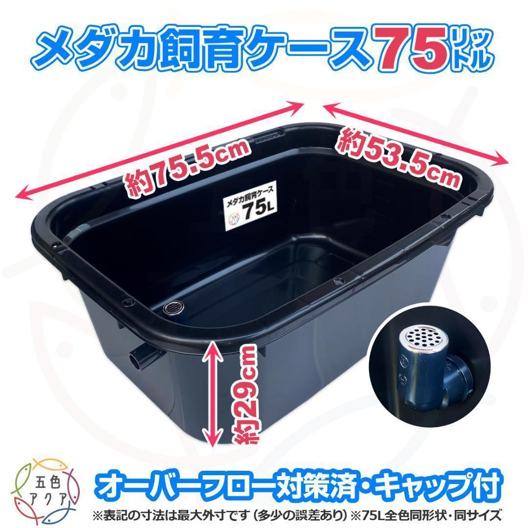 【新仕様】メダカ飼育ケース 75㍑黒x2個 オーバーフロー対策済 メダカ飼育容器