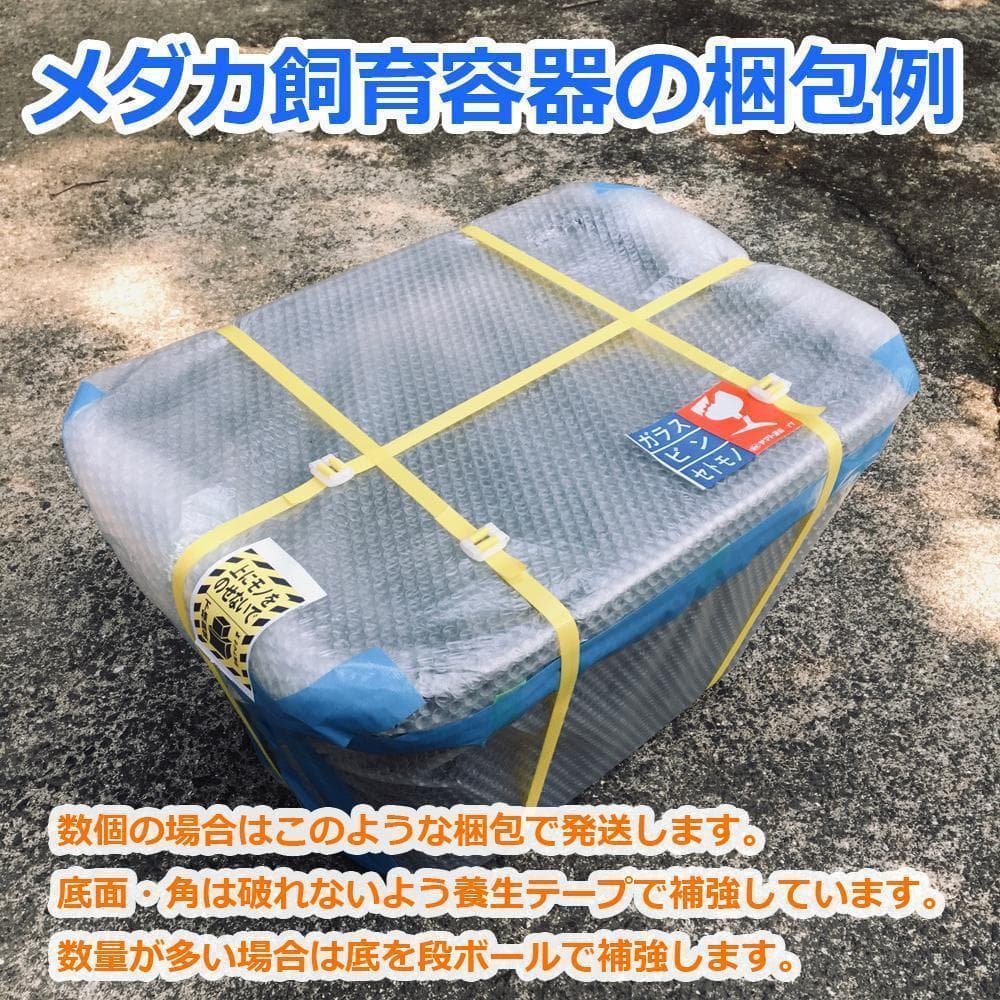 【新仕様】メダカ飼育ケース 75㍑黒x2個 オーバーフロー対策済 メダカ飼育容器