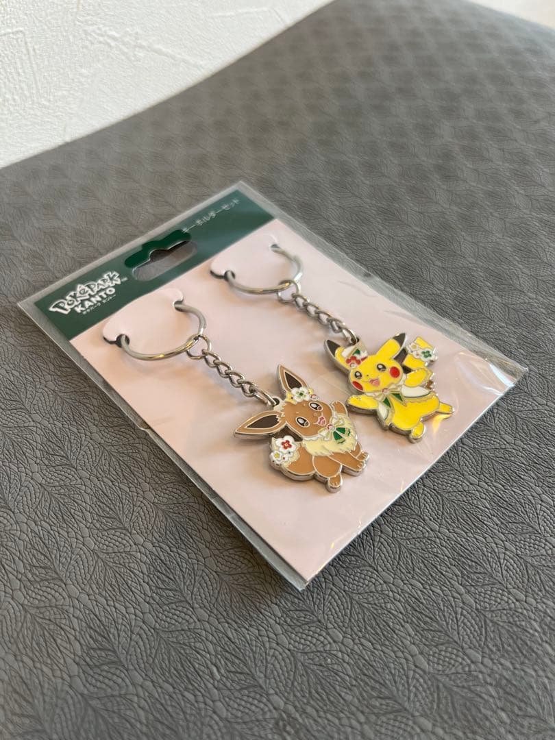 ポケパークカントー　キーホルダー・ピンズセット　ピカチュウ&イーブイ
