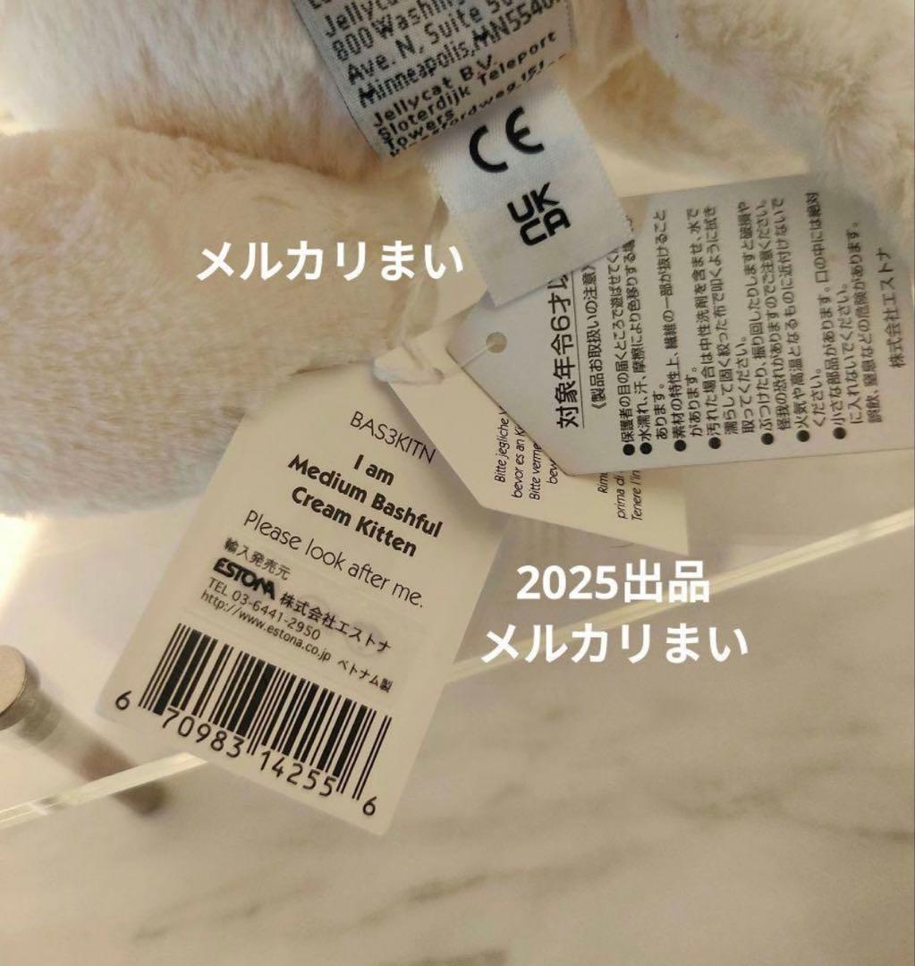  Medium Bashful Cream Kitten 白猫