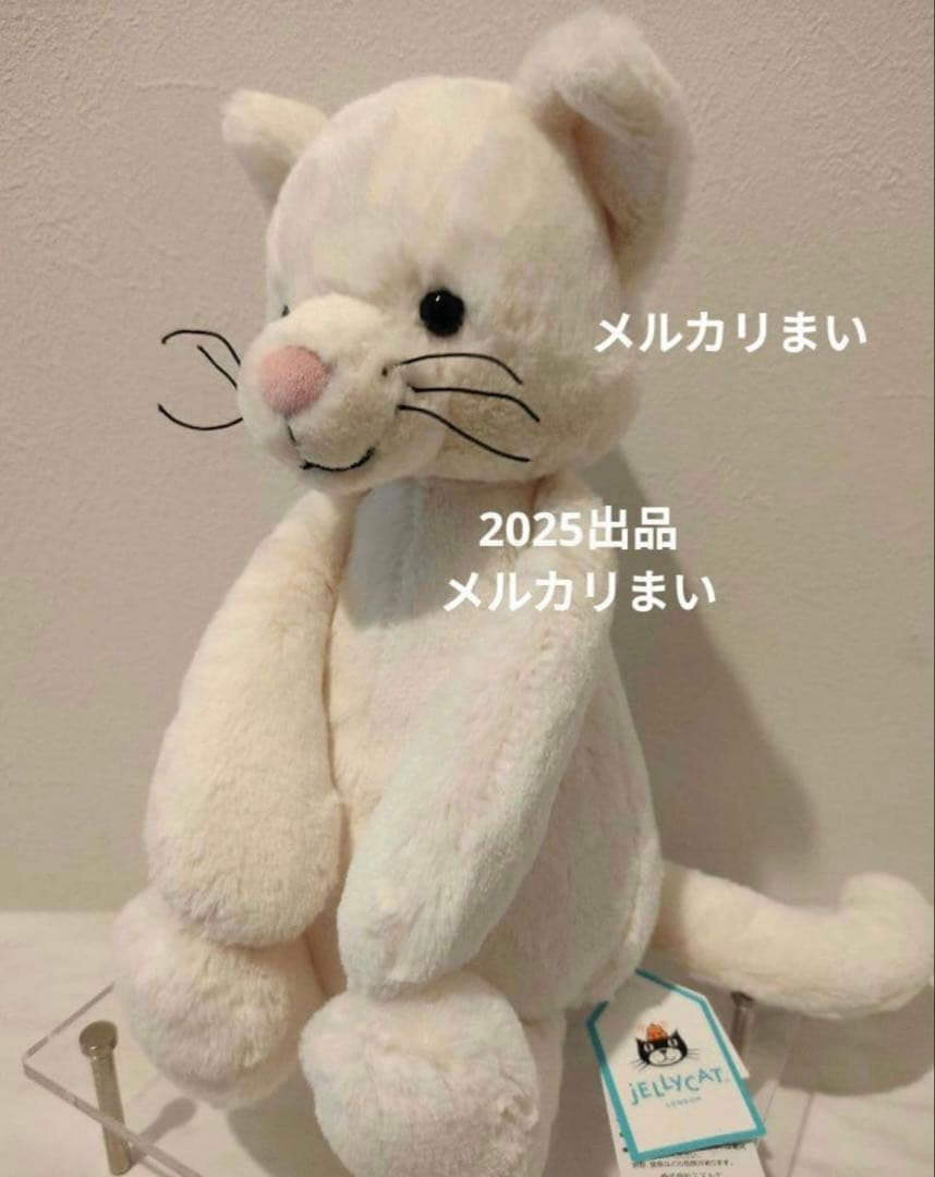  Medium Bashful Cream Kitten 白猫