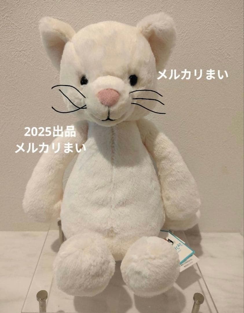  Medium Bashful Cream Kitten 白猫