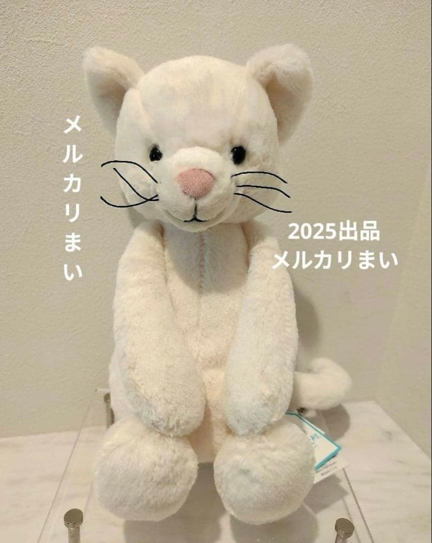  Medium Bashful Cream Kitten 白猫