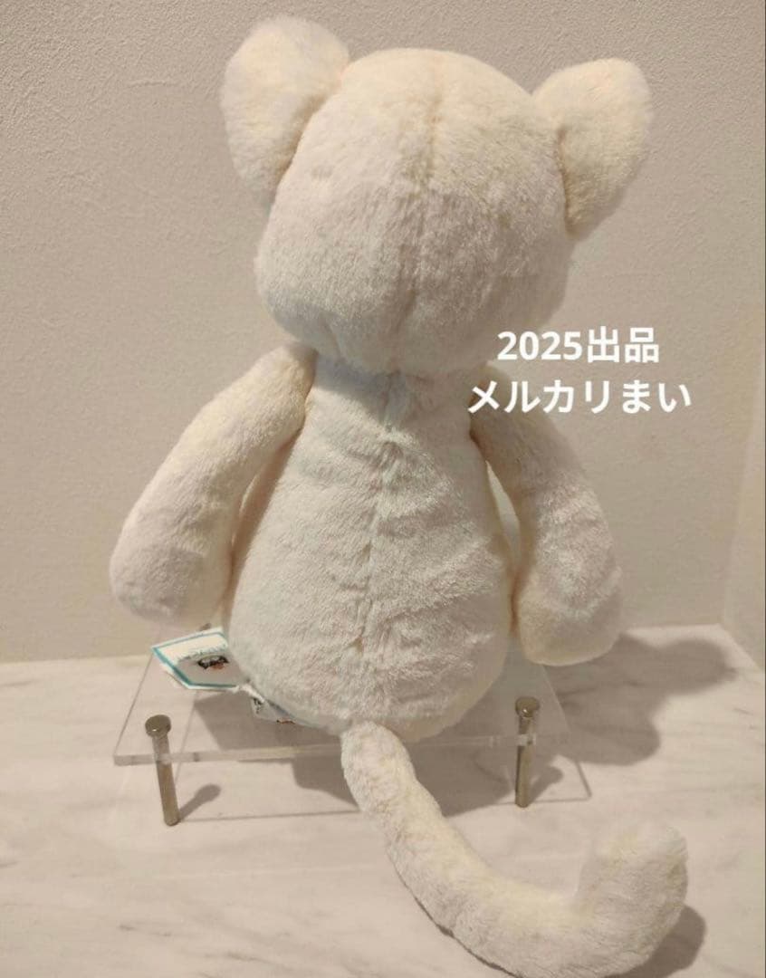  Medium Bashful Cream Kitten 白猫