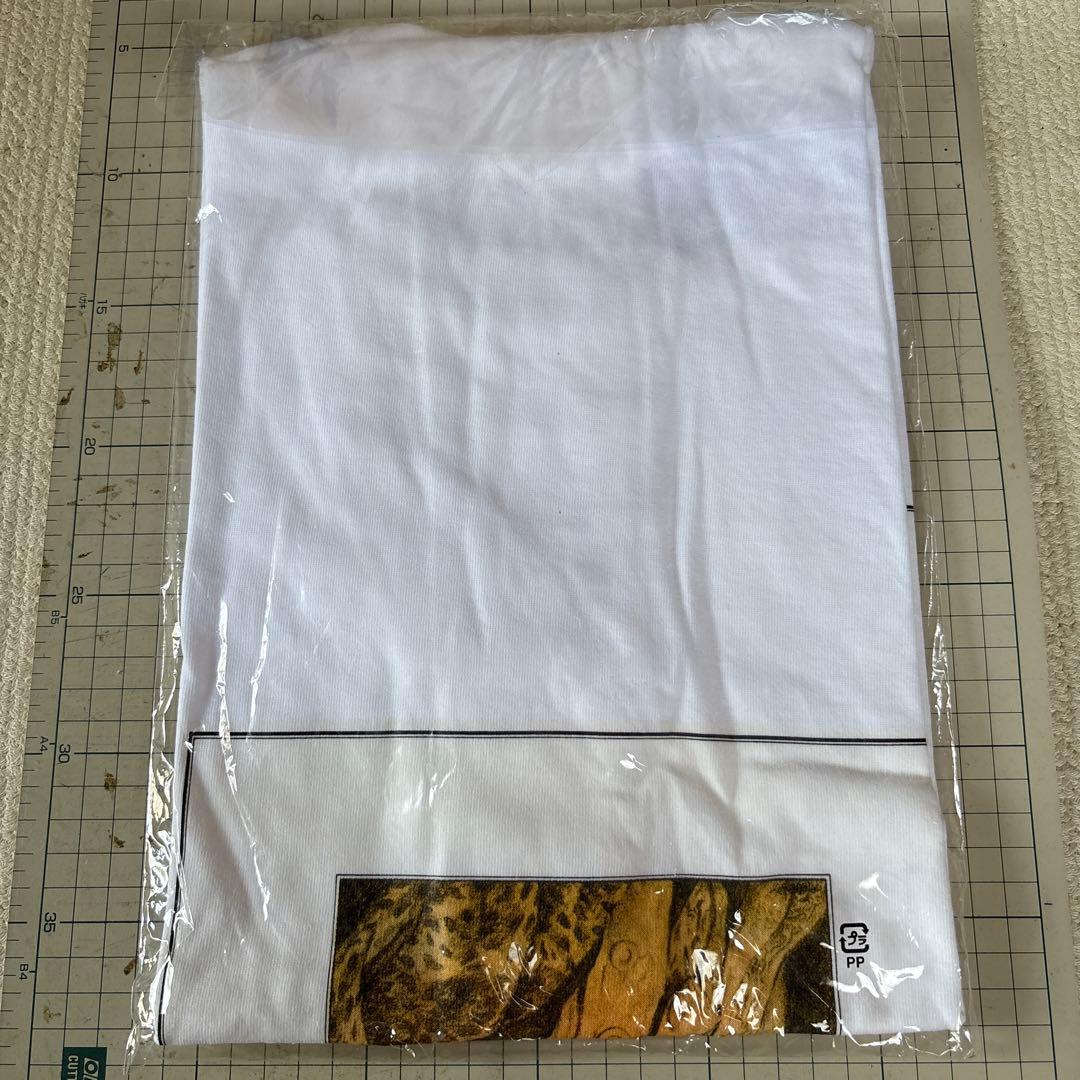 シュガーベイブ　SONGS Tシャツ