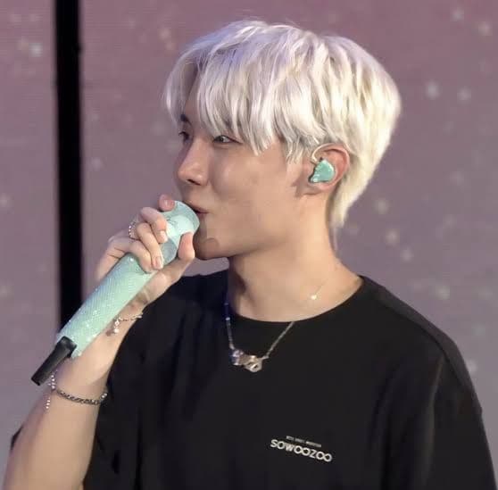 BTS ペンライト アミボム 2本セット + 公式 ケース