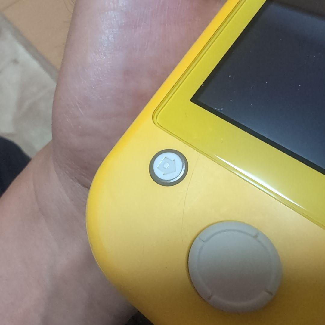 Switchライト　その他セット