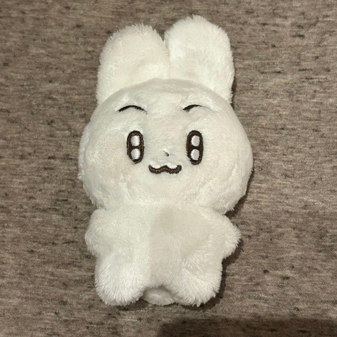 TXT スビン　テヒョン　ぬいぐるみ　10cm 新品　マスター
